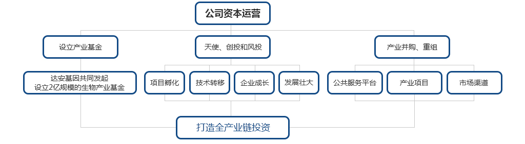 產(chǎn)業(yè)投資-東莞市生物技術產(chǎn)業(yè)發(fā)展有限公司_03.jpg